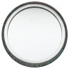 Bird pocket mirror