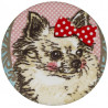 Chihuahua spiegeltje