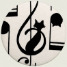 Muzikale kat zakspiegel