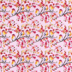Sweet Melody bird fabric by Riley Blake designs