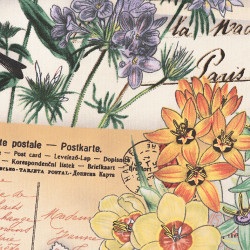 Postcards from Paris cotton Fabric, detail