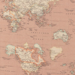 World map fabric pink canvas