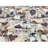 Paris romance fabric (canvas)