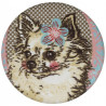 Chihuahua met bloem button